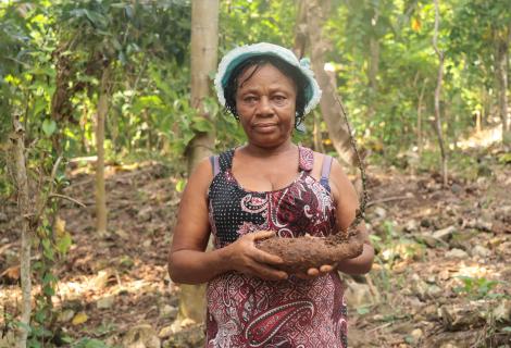 Haiti’s PARAGA project assisted Elisée Elitane of Bois Neuf Malor to  improve her cultivation of yam and banana.